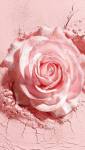 Coloris rose