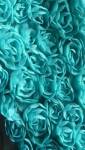 Coloris turquoise