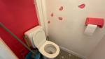 Toilette avant rénovation