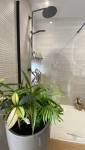 Rénovation de salle de bain à Torcy (77200)