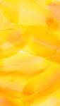 Coloris jaune