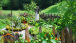 potager en planche