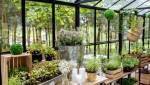 inspiration jardin d'hiver - M6 Déco