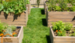 potager grand bacs
