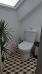 Installation WC prolongement cabinet de douche sous combles - Jouy-le-Moutier -95280 -