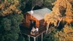Cabane dans les arbres
