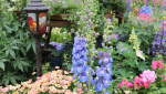Slow gardening!
