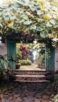 Rénovation de jardin