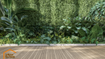 Terrasse avec plantes botanique