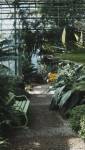 Serre de jardin