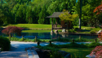 Jardin japonais