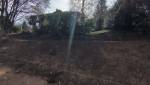 Jardin sans les arbustes