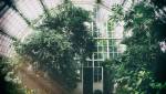 Serre de jardin