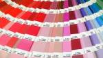 COULEURS ECOLOGIQUE 