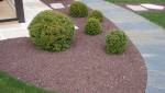 Aménagement de jardin à Nantes - 44