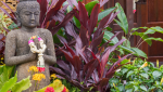 Bouddha