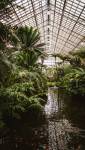 Serre de jardin