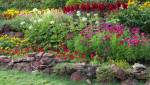 Rénovation de jardin avec plantations de fleurs et maçonnerie paysagère - Valence 26