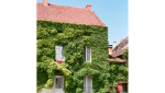 Façade végétalisée Haguenau