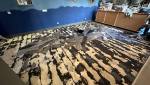 Dépose parquet pvc