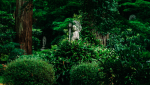 jardin japonais, creation jardin japonais, conseils jardin japonais, amenager jardin japonais, tendance jardin japonais, jardin zen