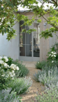 Allée de jardin tendance 2023