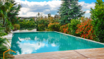Piscine sur terrasse en bois avec un paysage de fôret