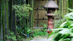 Jardin japonais