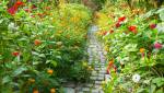 Aménagement de jardin écologique fleuri - Nantes 44