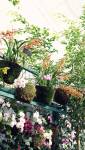 Rénovation de jardin