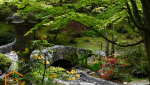 Petit jardin japonais avec point d'eau