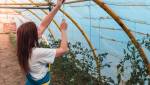 Serre de jardin en plastique - Valence 26