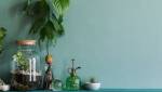 COULEUR ECOLOGIQUE BLEU 