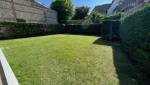Le jardin rénové