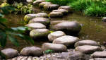 Jardin japonais