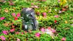 Statuette dans un jardin japonais aménagé - Rochefort 17