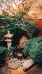 Aménagement d'un jardin japonais - Cholet 49