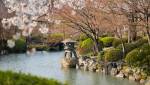 Jardin japonais 