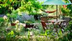 Oasis jardin