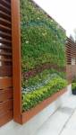 Mur végétal extérieur