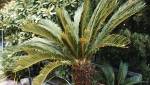 Créer une oasis dans le jardin - Nantes 44