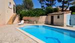 piscine motif dauphin