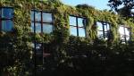 créer mur vegetal exterieur, mur vegetal exterieur tendance, mur vegetal exterieur idee, tarif mur vegetal exterieur, amenager mur vegetal exterieur, creation mur vegetal naturel, creation mur vegetal artificiel