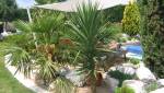 oasis méditerranéenne 
