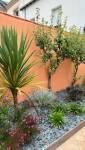 aménagement de jardin les sables d'olonne