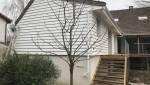 Pose d'un bardage bois horizontal sur agrandissement de maison - Cholet 49