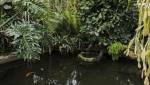 Créer une oasis dans le jardin autour d'une mare - Nantes 44