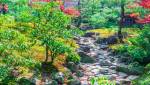 Jardin japonais aménagé - Rochefort 17