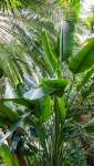 Création d'une oasis dans le jardin - Nantes 44