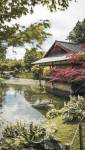 jardin japonais